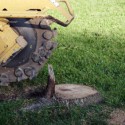 Richardson Stump Grinding